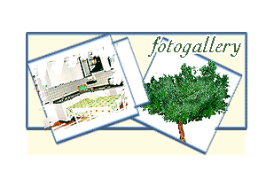 fotogallery